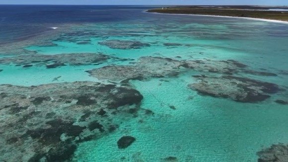 Aerial view of clear turquoise shallows with dark patches and a distant shoreline